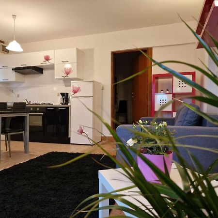 Apartman Sandro Motovun Extérieur photo