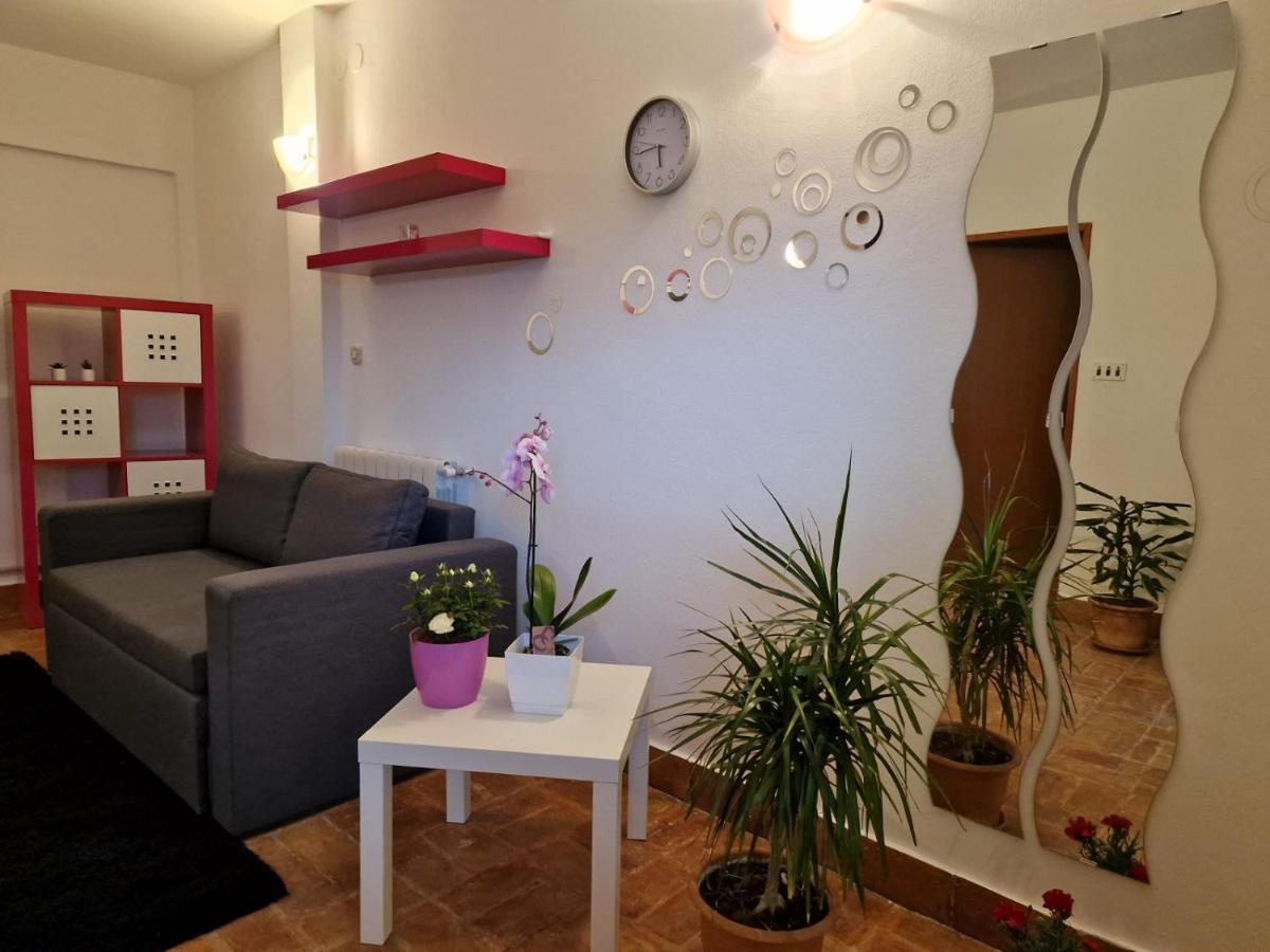 Apartman Sandro Motovun Extérieur photo