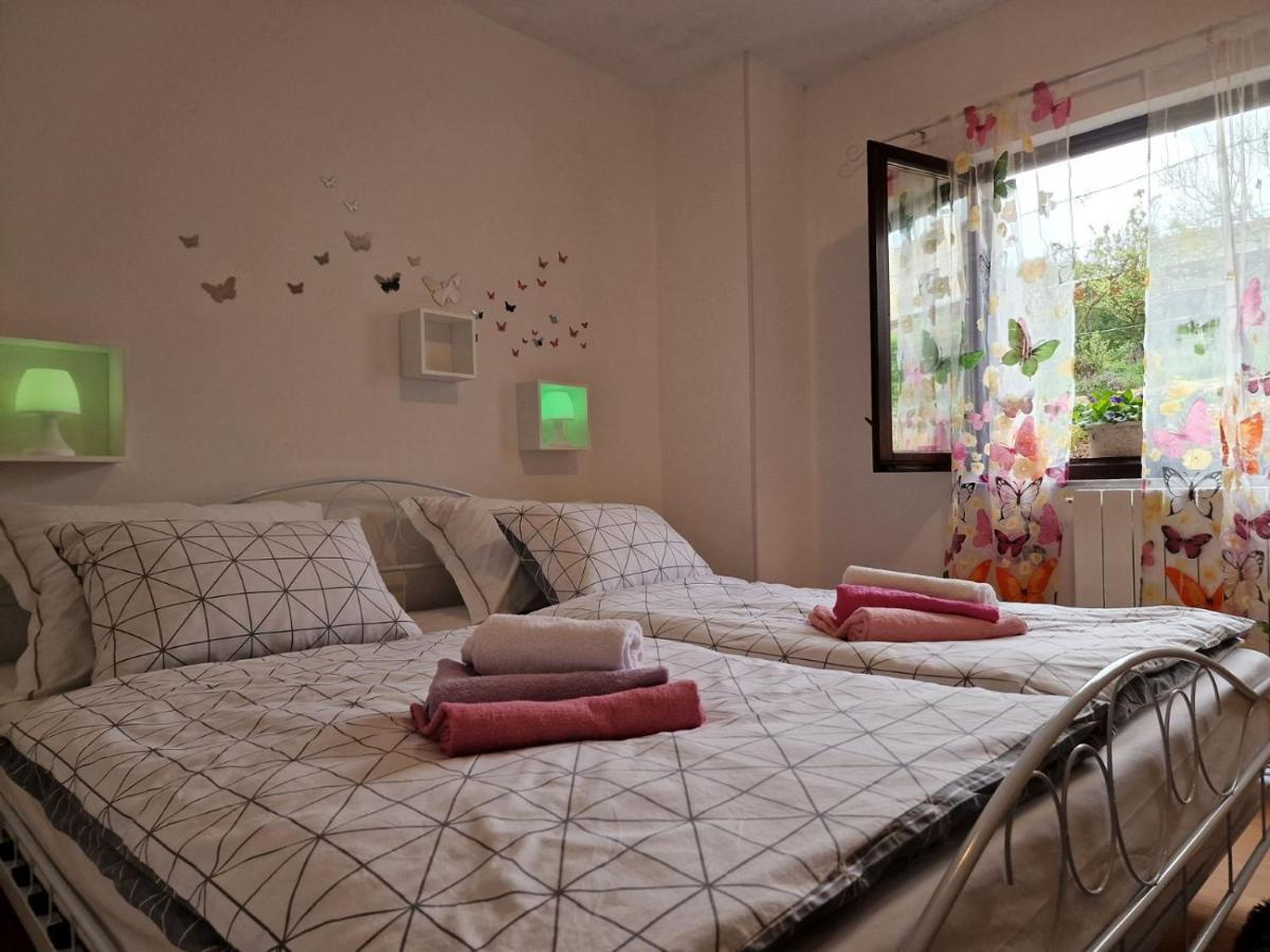 Apartman Sandro Motovun Extérieur photo
