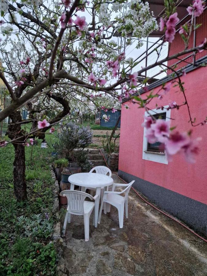 Apartman Sandro Motovun Extérieur photo